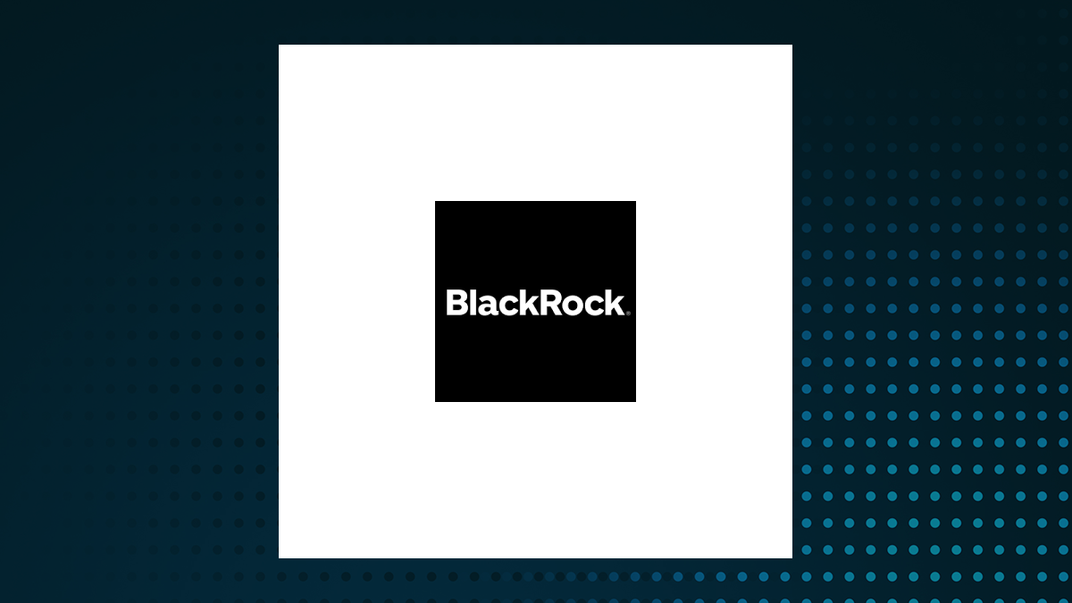 BlackRock MuniHoldings Fund logo