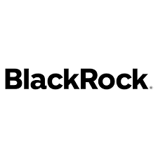 BlackRock MuniYield New York Quality Fund logo