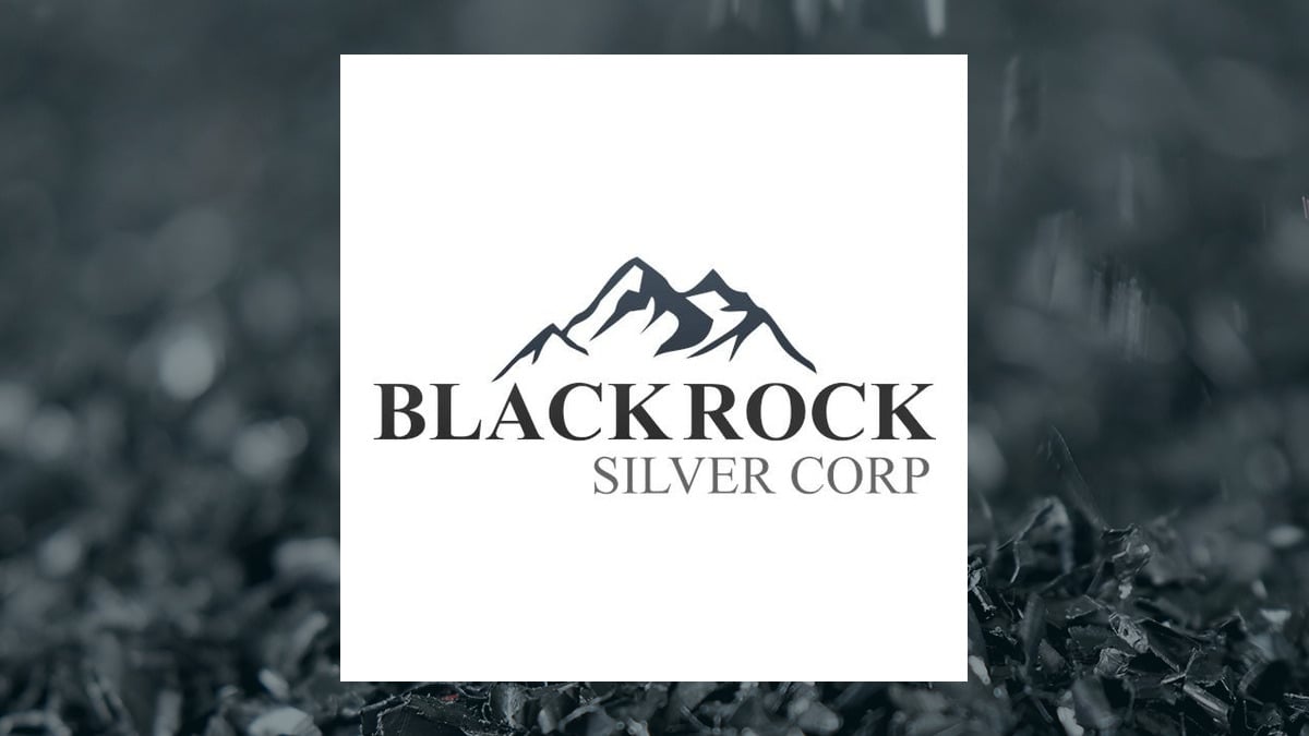 Blackrock Silver logo