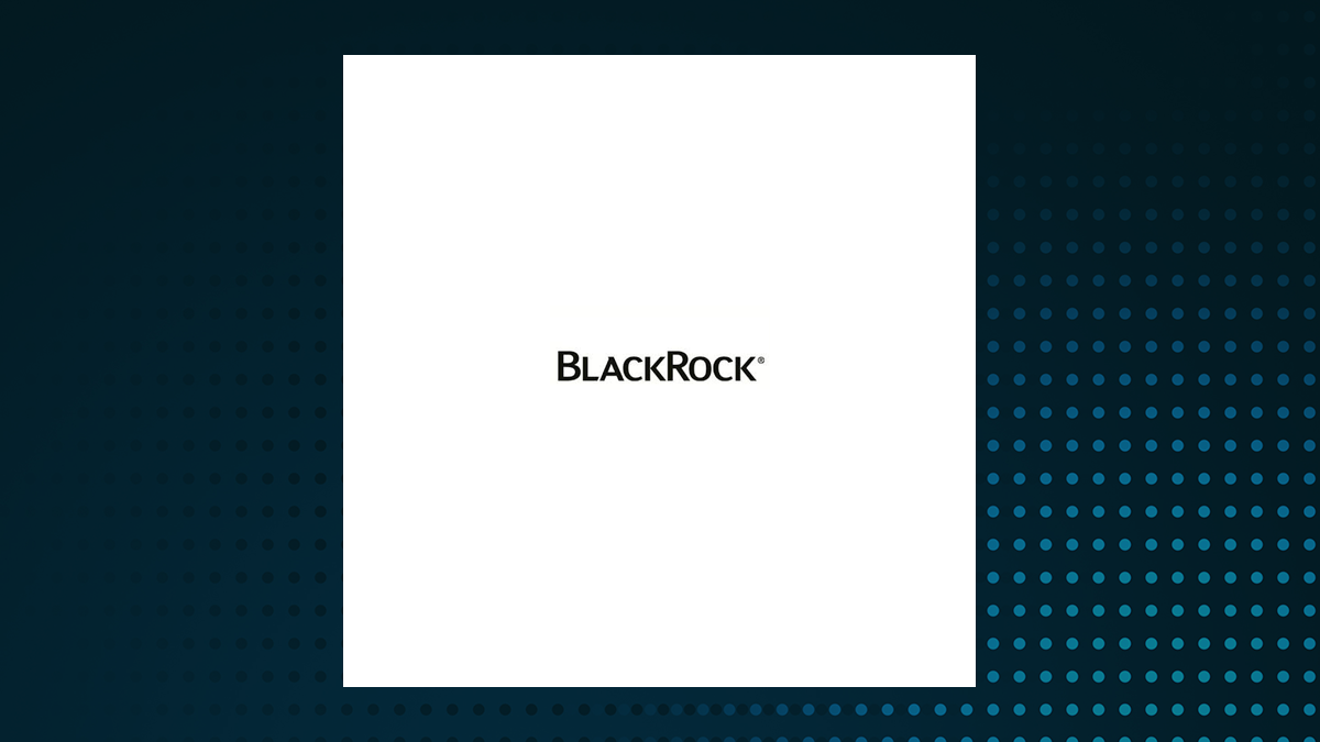 BlackRock Smaller Companies Trust logo