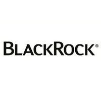 BlackRock Smaller Companies Trust logo