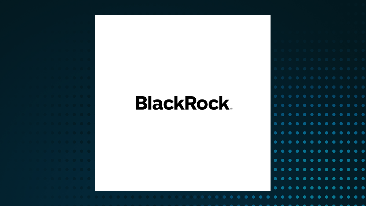 BlackRock Throgmorton Trust logo