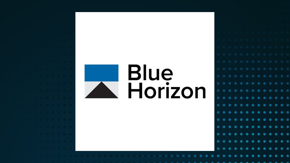 Blue Horizon BNE ETF logo