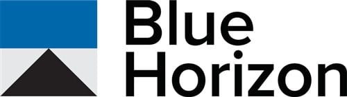 Blue Horizon BNE ETF logo