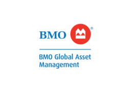 BMO Canadian Dividend ETF