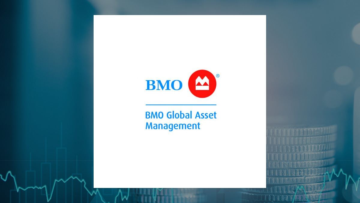 BMO Global Smaller Companies logo