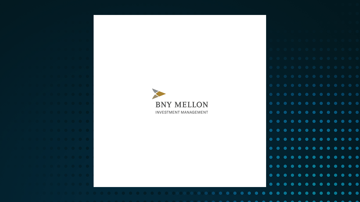 BNY Mellon Alcentra Global Credit Income 2024 Target Term Fund logo
