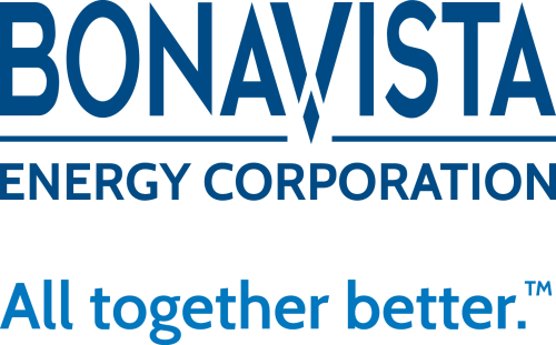 Bonavista Energy Co. (BNP.TO) logo