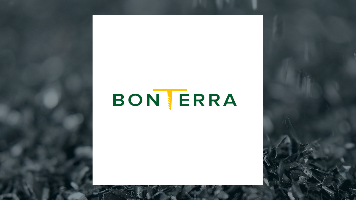 Image for Bonterra Resources Inc. (CVE:BTR) Director Cesar Gonzalez Buys 100,000 Shares