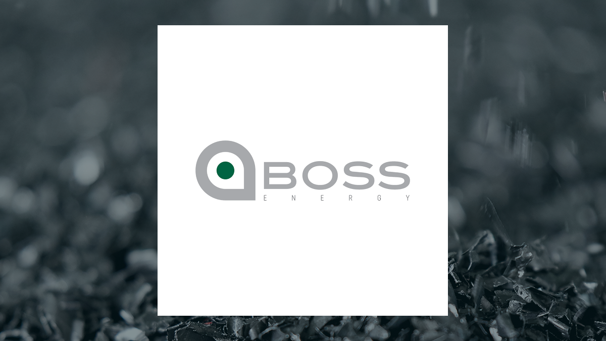 Boss Energy logo