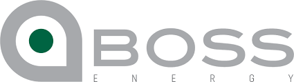 BOE stock logo