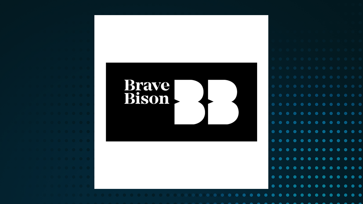 Brave Bison Group logo