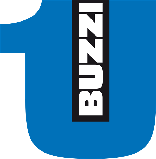 BZZUF stock logo