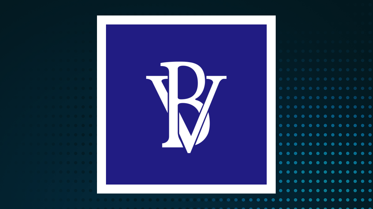 BV Financial logo