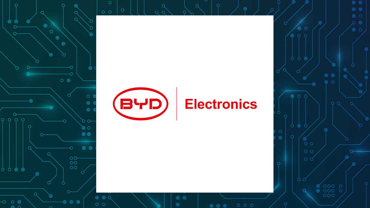 BYD Electronic (International) logo