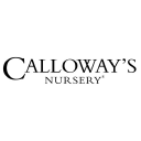 Calloway