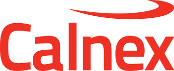 Calnex Solutions (LON:CLX) Trading Down 4.1%