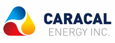 Circle Star Energy logo