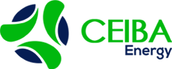 CEB stock logo