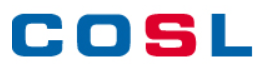 China Oilfield Services