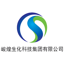 China Sun Group High-Tech logo