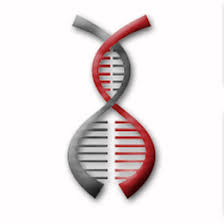 Short Interest in Co-Diagnostics, Inc. (NASDAQ:CODX) Declines By 19.8% - Vimarsana News