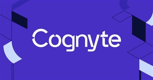Cognyte Software