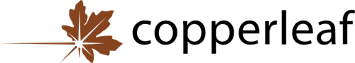 Copperleaf Technologies (TSE:CPLF) Given New C$16.00 Price Target at National Bankshares - Vimarsana News