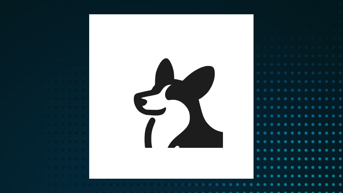 Corgi Buy Now Pay Later ETF logo