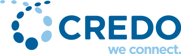 Credo Technology Group (CRDO) Stock Forecast and Price Target 2025