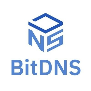 BitDNS logo