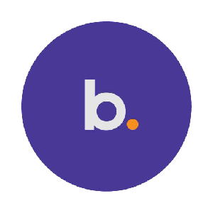 BNS token logo