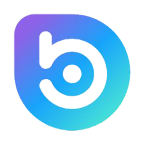 BORA logo