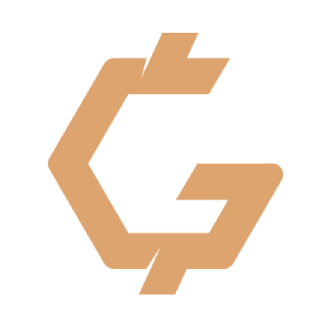 GOL stock logo