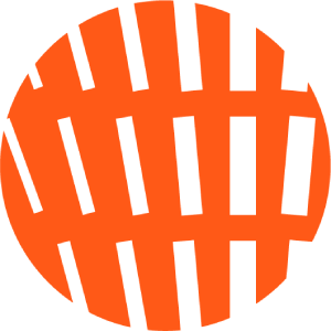 OPINION logo
