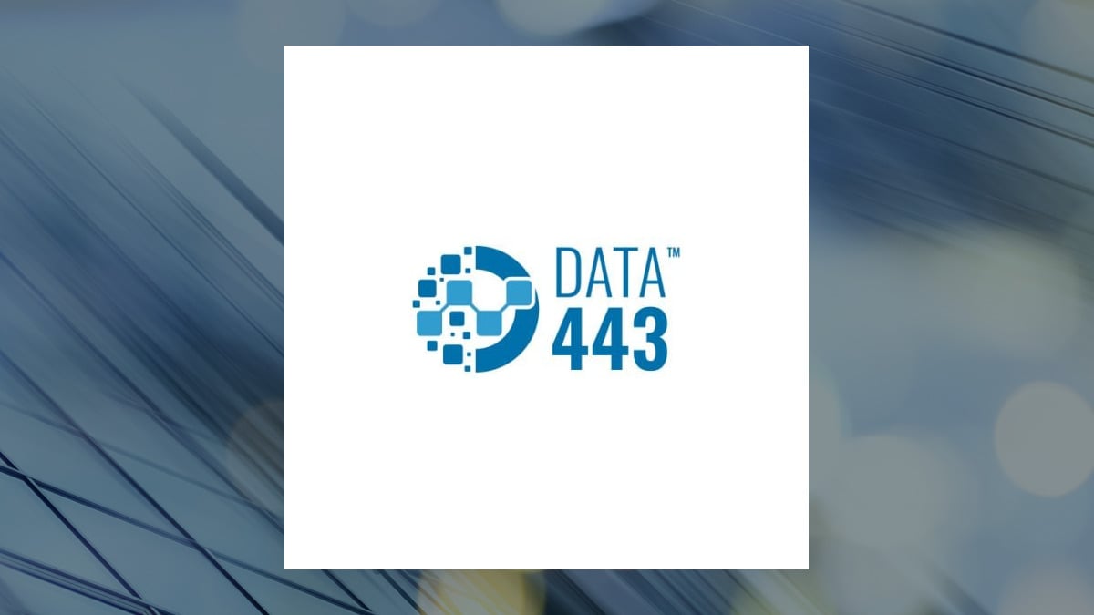 Data443 Risk Mitigation logo