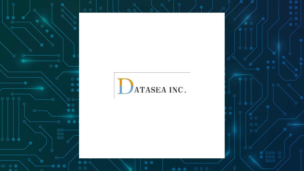 Datasea logo