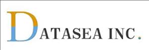 Datasea logo