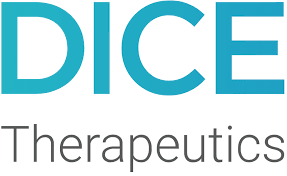 DICE stock logo