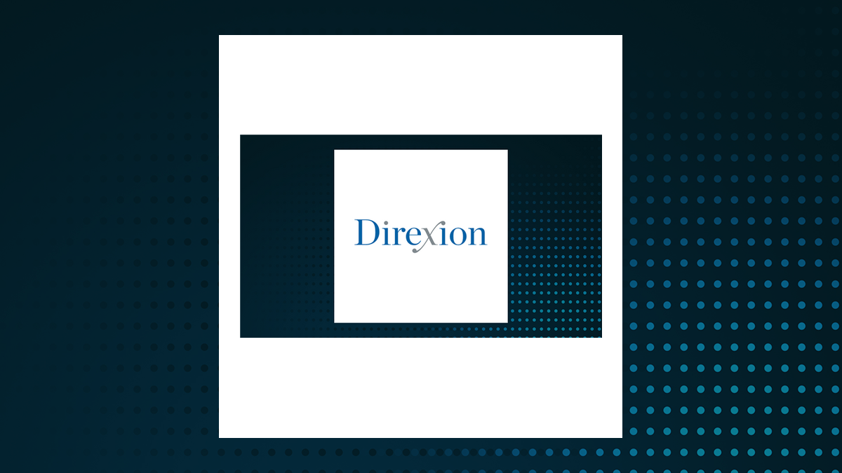 Direxion Daily NFLX Bull 2X Shares (NASDAQ:NFXL) Shares Down 4% – What's Next?