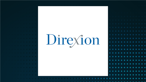 Direxion Daily NFLX Bull 2X Shares stock logo