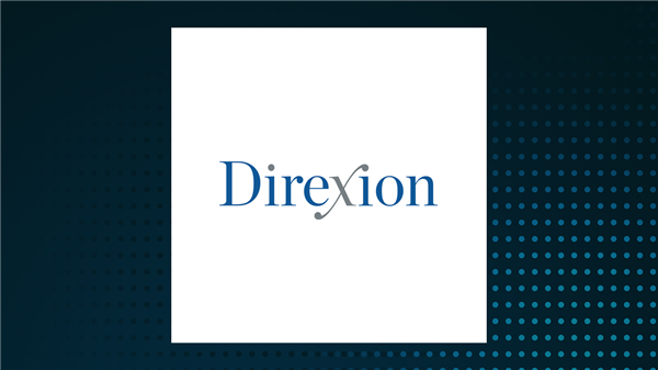 Direxion Daily PANW Bear 1X Shares stock logo