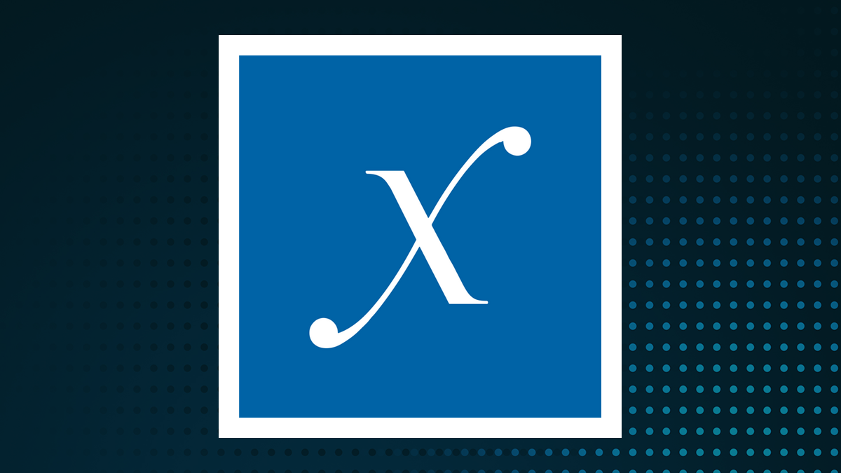 Direxion Daily PLTR Bear 1X Shares logo