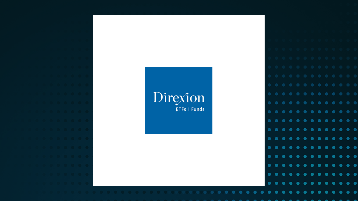 Direxion Daily S&P Oil & Gas Exp. & Prod. Bear 2X ETF logo