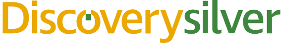 Discovery Silver logo