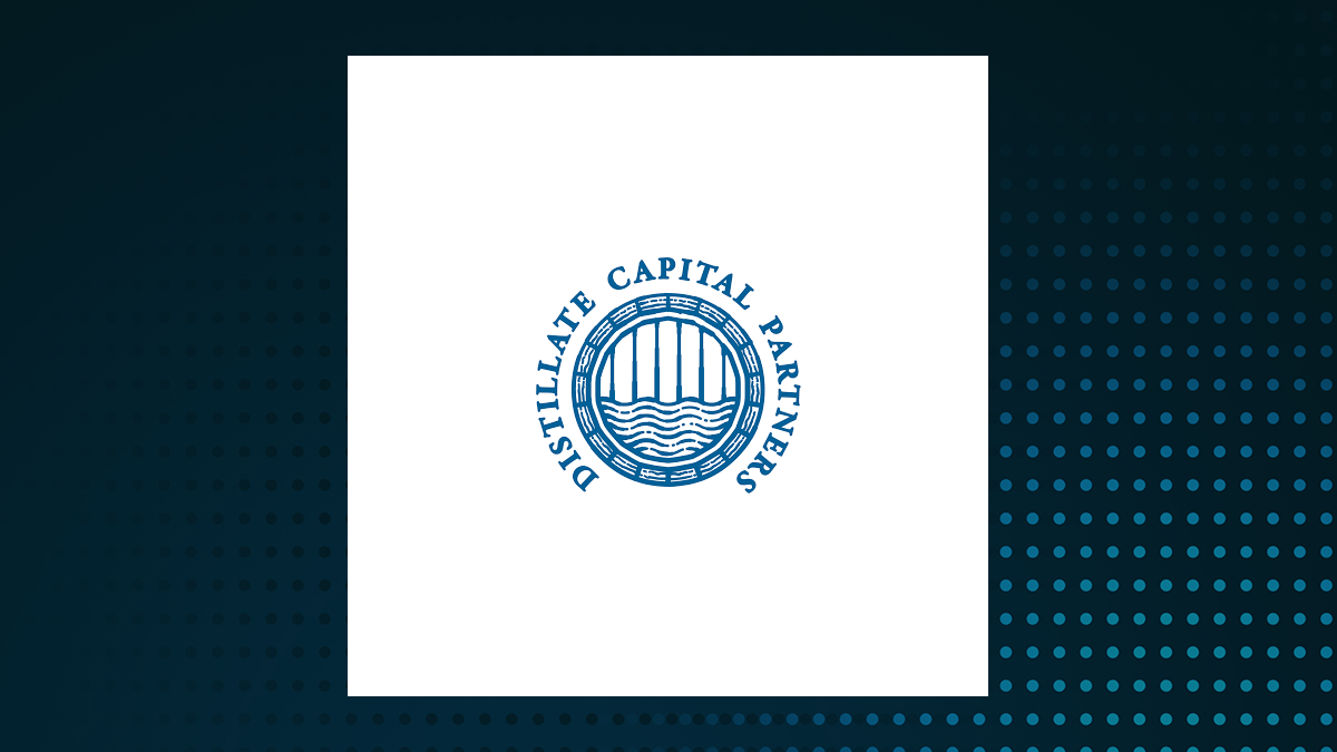 Distillate U.S. Fundamental Stability & Value ETF logo