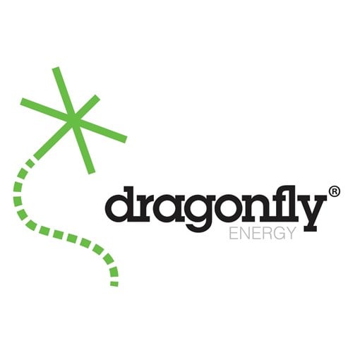 Dragonfly Energy stock logo