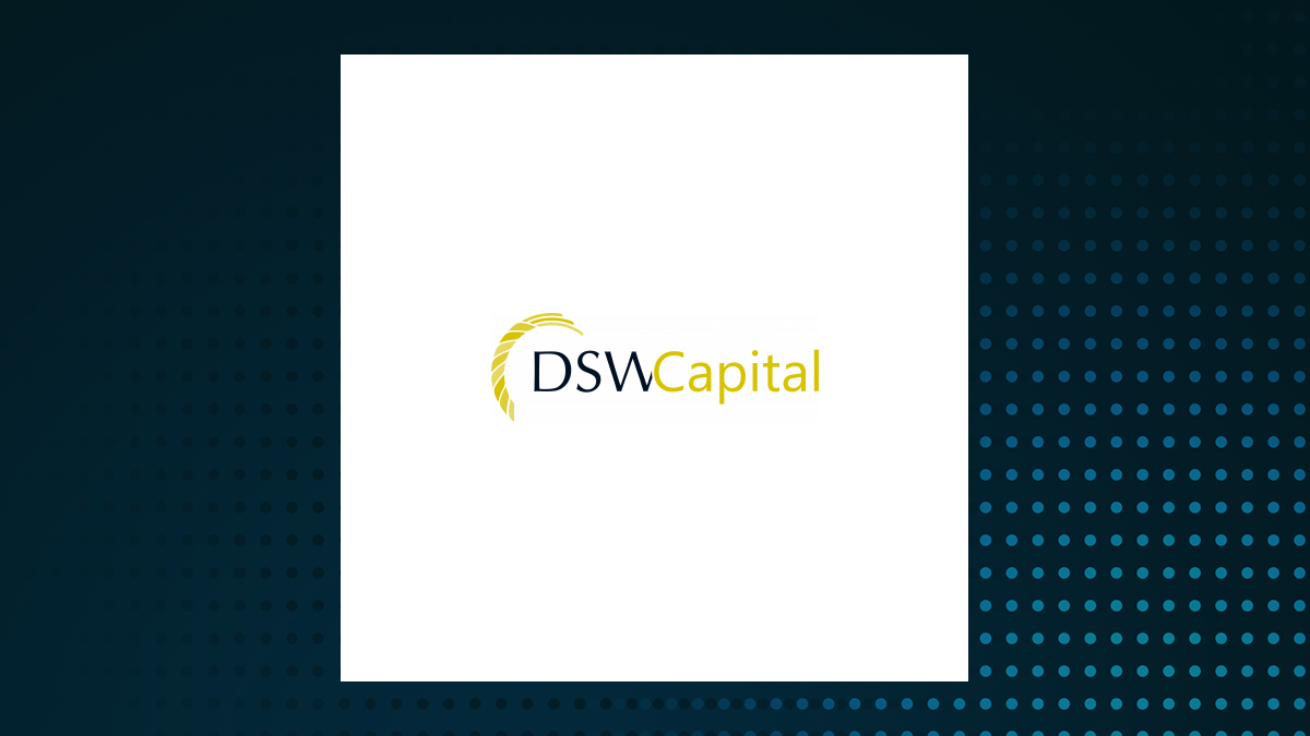 DSW Capital logo
