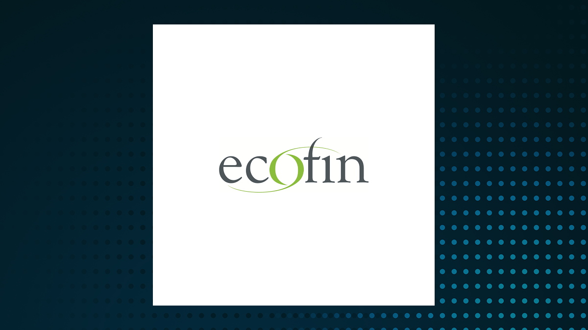 Ecofin Sustainable and Social Impact Term Fund logo