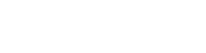 Elcom International logo